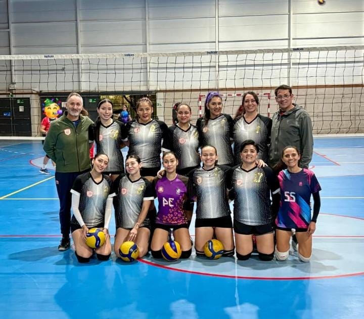 Damas Voleibol
